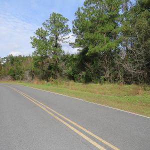 Photo of UNDER CONTRACT!  30.6 Acres of Hunting and Timber Land For Sale in Columbus County NC!