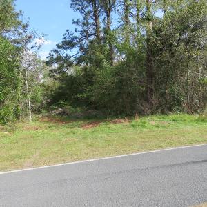 Photo of UNDER CONTRACT!  30.6 Acres of Hunting and Timber Land For Sale in Columbus County NC!