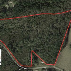 Photo of UNDER CONTRACT!  30.6 Acres of Hunting and Timber Land For Sale in Columbus County NC!