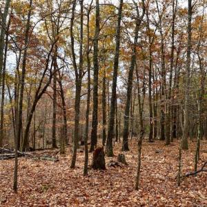 Photo of UNDER CONTRACT!  40 Acres of Recreational and Residential Land for Sale in Botetourt County VA!