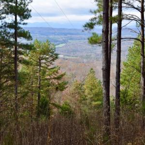 Photo of UNDER CONTRACT!  40 Acres of Recreational and Residential Land for Sale in Botetourt County VA!