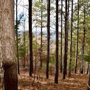 Photo of UNDER CONTRACT!  40 Acres of Recreational and Residential Land for Sale in Botetourt County VA!