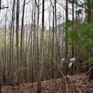 Photo of UNDER CONTRACT!  40 Acres of Recreational and Residential Land for Sale in Botetourt County VA!