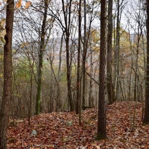 Photo of UNDER CONTRACT!  40 Acres of Recreational and Residential Land for Sale in Botetourt County VA!