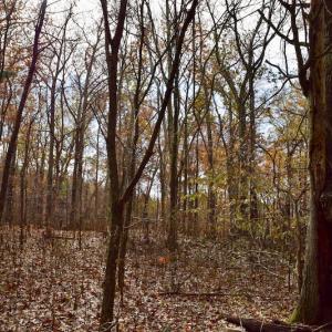 Photo of UNDER CONTRACT!  40 Acres of Recreational and Residential Land for Sale in Botetourt County VA!