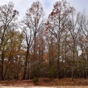 Photo of UNDER CONTRACT!  40 Acres of Recreational and Residential Land for Sale in Botetourt County VA!