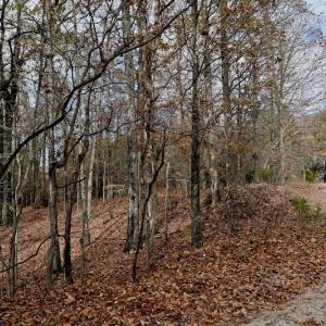 Photo of UNDER CONTRACT!  40 Acres of Recreational and Residential Land for Sale in Botetourt County VA!