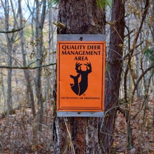 Photo of UNDER CONTRACT!  40 Acres of Recreational and Residential Land for Sale in Botetourt County VA!
