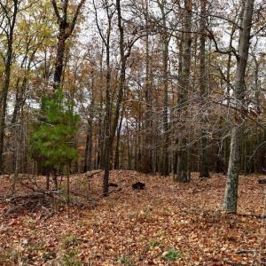 Photo of UNDER CONTRACT!  40 Acres of Recreational and Residential Land for Sale in Botetourt County VA!