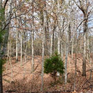 Photo of UNDER CONTRACT!  40 Acres of Recreational and Residential Land for Sale in Botetourt County VA!