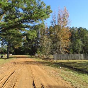 Photo of UNDER CONTRACT!  8 Acres of Hunting Land For Sale in Robeson County NC!