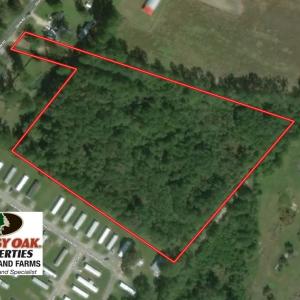 Photo of UNDER CONTRACT!  8 Acres of Hunting Land For Sale in Robeson County NC!