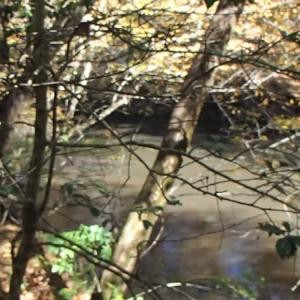 Photo of UNDER CONTRACT!  11.77 Acres of Water Front Land For Sale in Nash County NC!