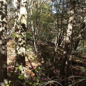 Photo of UNDER CONTRACT!  11.77 Acres of Water Front Land For Sale in Nash County NC!