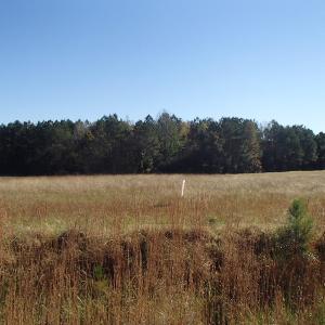 Photo of UNDER CONTRACT!  11.77 Acres of Water Front Land For Sale in Nash County NC!