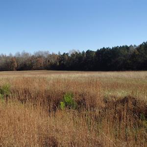 Photo of UNDER CONTRACT!  11.77 Acres of Water Front Land For Sale in Nash County NC!