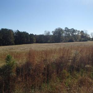 Photo of UNDER CONTRACT!  11.77 Acres of Water Front Land For Sale in Nash County NC!