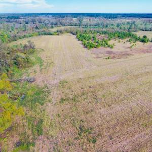 Photo of UNDER CONTRACT!  47 Acres of Residential Farm and Timber Land For Sale in Robeson County NC!