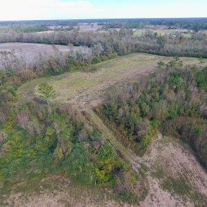 Photo of UNDER CONTRACT!  47 Acres of Residential Farm and Timber Land For Sale in Robeson County NC!