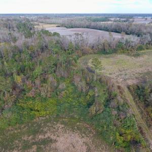 Photo of UNDER CONTRACT!  47 Acres of Residential Farm and Timber Land For Sale in Robeson County NC!