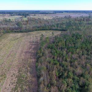 Photo of UNDER CONTRACT!  47 Acres of Residential Farm and Timber Land For Sale in Robeson County NC!