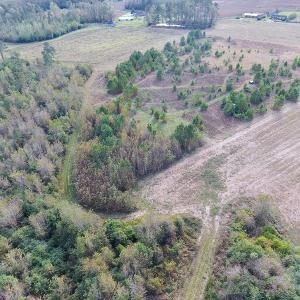 Photo of UNDER CONTRACT!  47 Acres of Residential Farm and Timber Land For Sale in Robeson County NC!