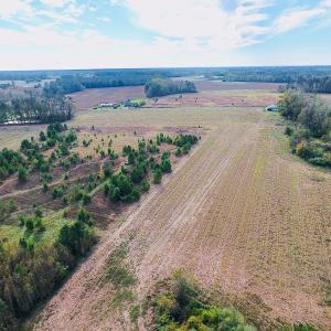 Photo of UNDER CONTRACT!  47 Acres of Residential Farm and Timber Land For Sale in Robeson County NC!
