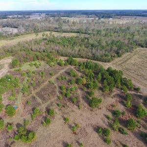 Photo of UNDER CONTRACT!  47 Acres of Residential Farm and Timber Land For Sale in Robeson County NC!