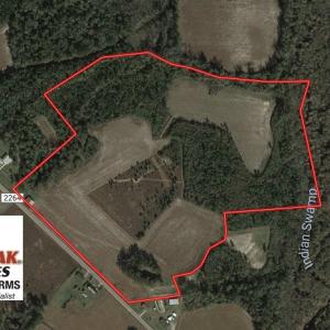Photo of UNDER CONTRACT!  47 Acres of Residential Farm and Timber Land For Sale in Robeson County NC!