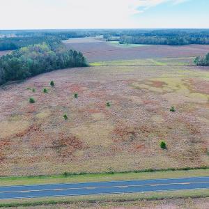 Photo of UNDER CONTRACT!  33 Acres of Farm and Pasture Land For Sale in Robeson County NC!