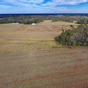 Photo of UNDER CONTRACT!  33 Acres of Farm and Pasture Land For Sale in Robeson County NC!