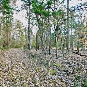 Photo of UNDER CONTRACT!  59 Acres of Hunting and Development Land for Sale in Person County NC!