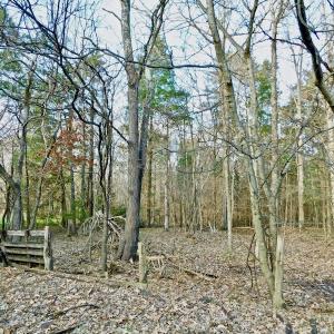 Photo of UNDER CONTRACT!  59 Acres of Hunting and Development Land for Sale in Person County NC!