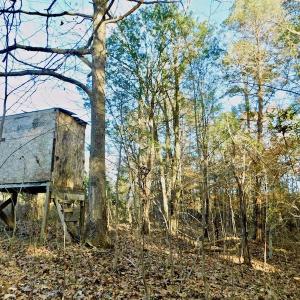 Photo of UNDER CONTRACT!  59 Acres of Hunting and Development Land for Sale in Person County NC!