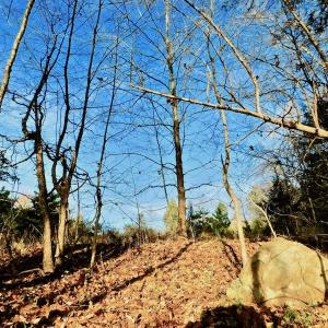 Photo of UNDER CONTRACT!  59 Acres of Hunting and Development Land for Sale in Person County NC!