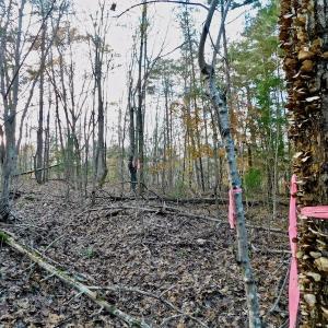 Photo of UNDER CONTRACT!  59 Acres of Hunting and Development Land for Sale in Person County NC!