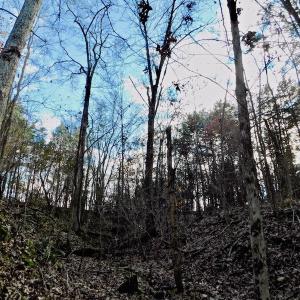 Photo of UNDER CONTRACT!  59 Acres of Hunting and Development Land for Sale in Person County NC!
