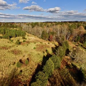 Photo of UNDER CONTRACT!  59 Acres of Hunting and Development Land for Sale in Person County NC!