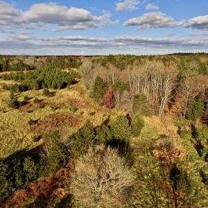 Photo of UNDER CONTRACT!  59 Acres of Hunting and Development Land for Sale in Person County NC!