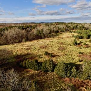 Photo of UNDER CONTRACT!  59 Acres of Hunting and Development Land for Sale in Person County NC!