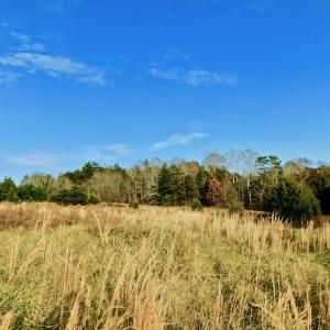 Photo of UNDER CONTRACT!  59 Acres of Hunting and Development Land for Sale in Person County NC!