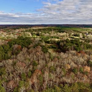 Photo of UNDER CONTRACT!  59 Acres of Hunting and Development Land for Sale in Person County NC!