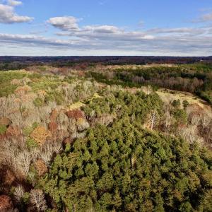 Photo of UNDER CONTRACT!  59 Acres of Hunting and Development Land for Sale in Person County NC!