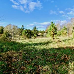 Photo of UNDER CONTRACT!  59 Acres of Hunting and Development Land for Sale in Person County NC!