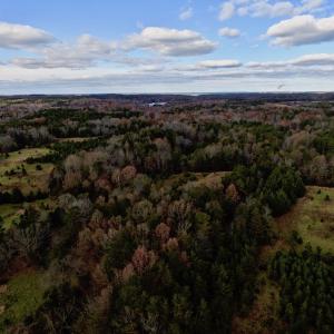 Photo of UNDER CONTRACT!  59 Acres of Hunting and Development Land for Sale in Person County NC!