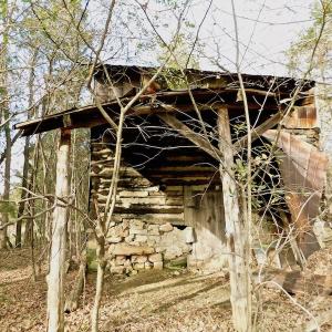 Photo of UNDER CONTRACT!  59 Acres of Hunting and Development Land for Sale in Person County NC!
