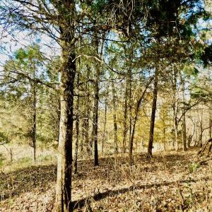 Photo of UNDER CONTRACT!  59 Acres of Hunting and Development Land for Sale in Person County NC!