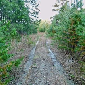 Photo of UNDER CONTRACT!  59 Acres of Hunting and Development Land for Sale in Person County NC!