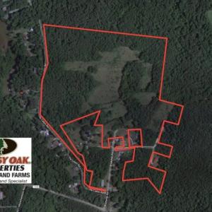 Photo of UNDER CONTRACT!  59 Acres of Hunting and Development Land for Sale in Person County NC!