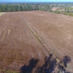 Photo of SOLD!!  17.6 Acres of Farm Land For Sale in Columbus County NC!